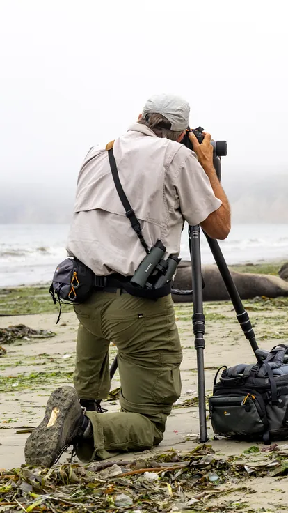 Tim Laman kneeling on a beach, photographing with a camera on a tripod